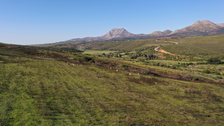 3 Bedroom Property for Sale in Kareedouw Eastern Cape